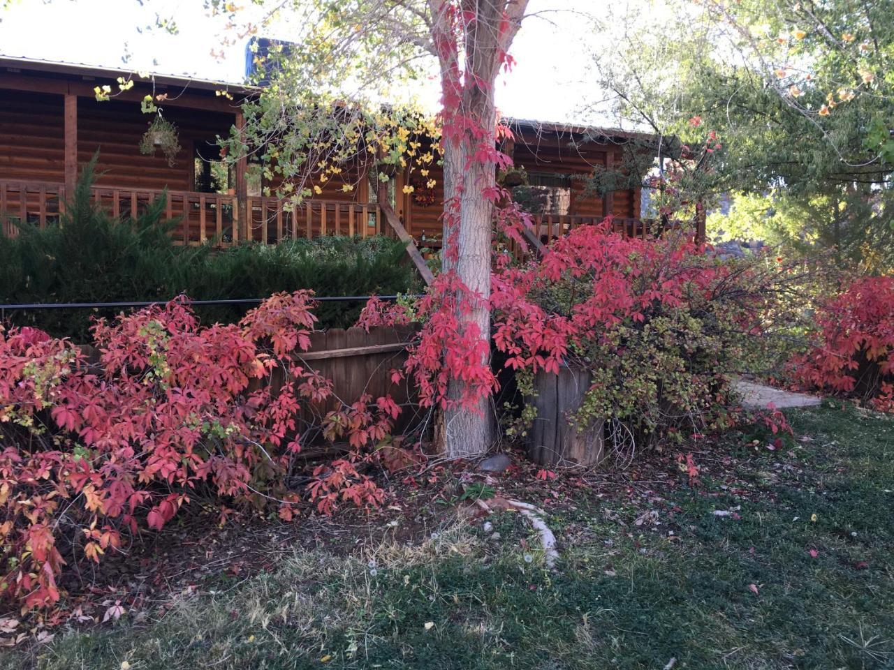 Canyon Wren Bed And Breakfast Bluff Exterior photo